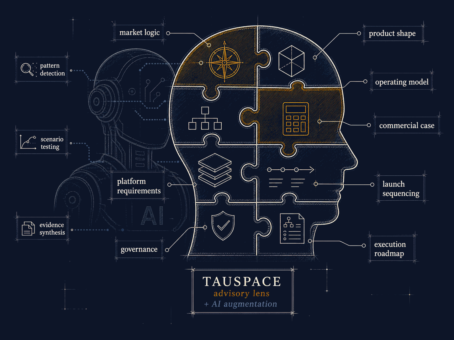 TAUSPACE advisory across buyer segments.